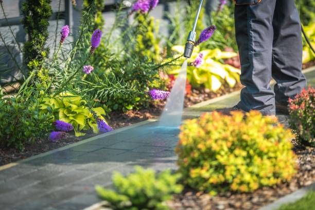 Best Driveway Pressure Washing  in St Leon, IN